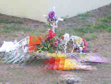The spot where Caroline died under the Burnett River Bridge